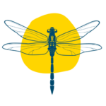 cropped-dragonfly-yellow-1.png