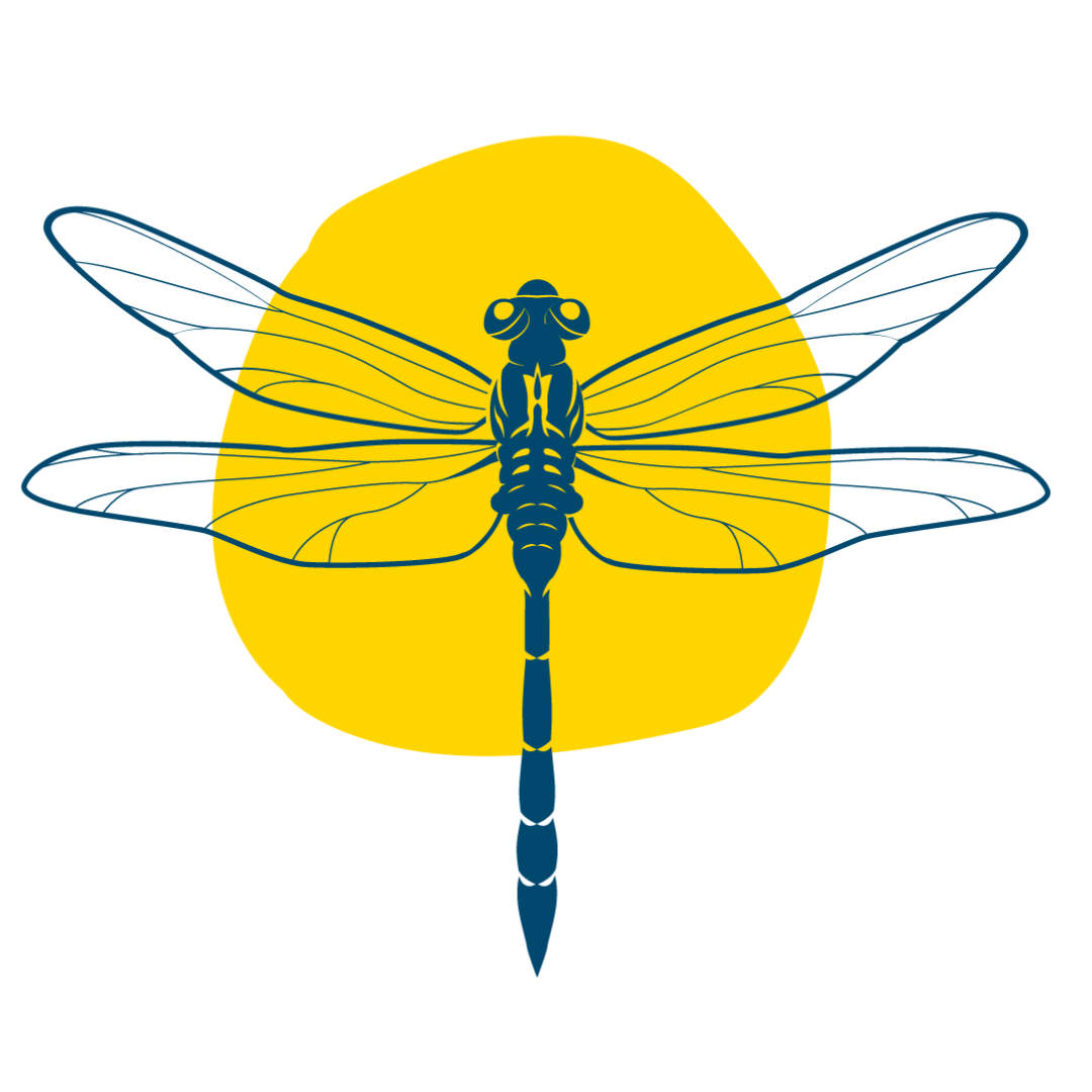 dragonfly with yellow circle - Healing Mentoring icon