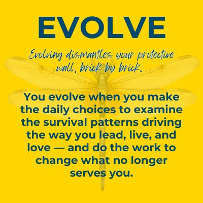 Evolve - HEAL Framework graphic